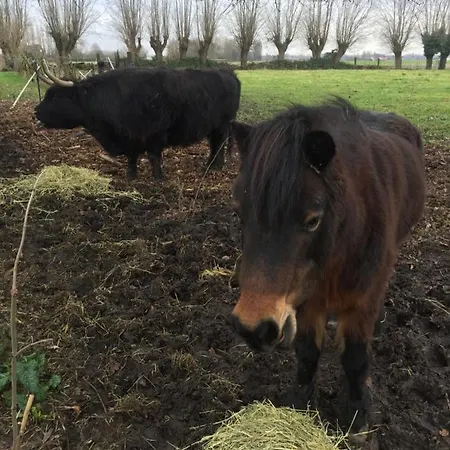Le Domaine Des Saules Сasa de vacaciones Richebourg (Pas-de-Calais)
