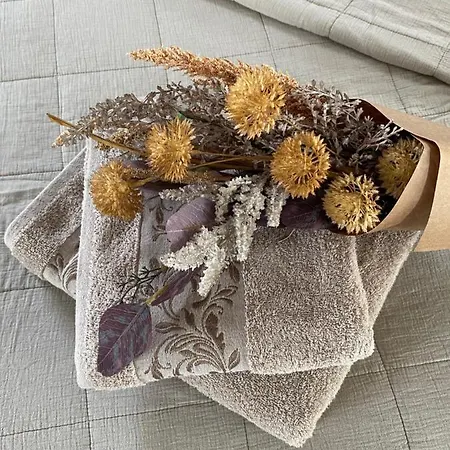 Le Domaine Des Saules 度假居