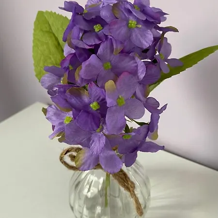 Le Domaine Des Saules Holiday home *