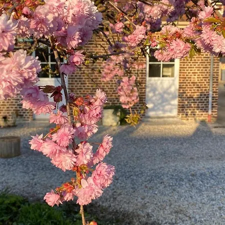 Le Domaine Des Saules